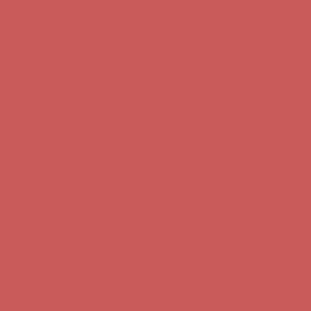 Labial Powder Kiss Velvet Blur Slim Stick - Sheer Outrage, foto 10